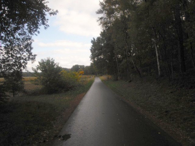 CTF-Permanente Neustaedter Holz 051